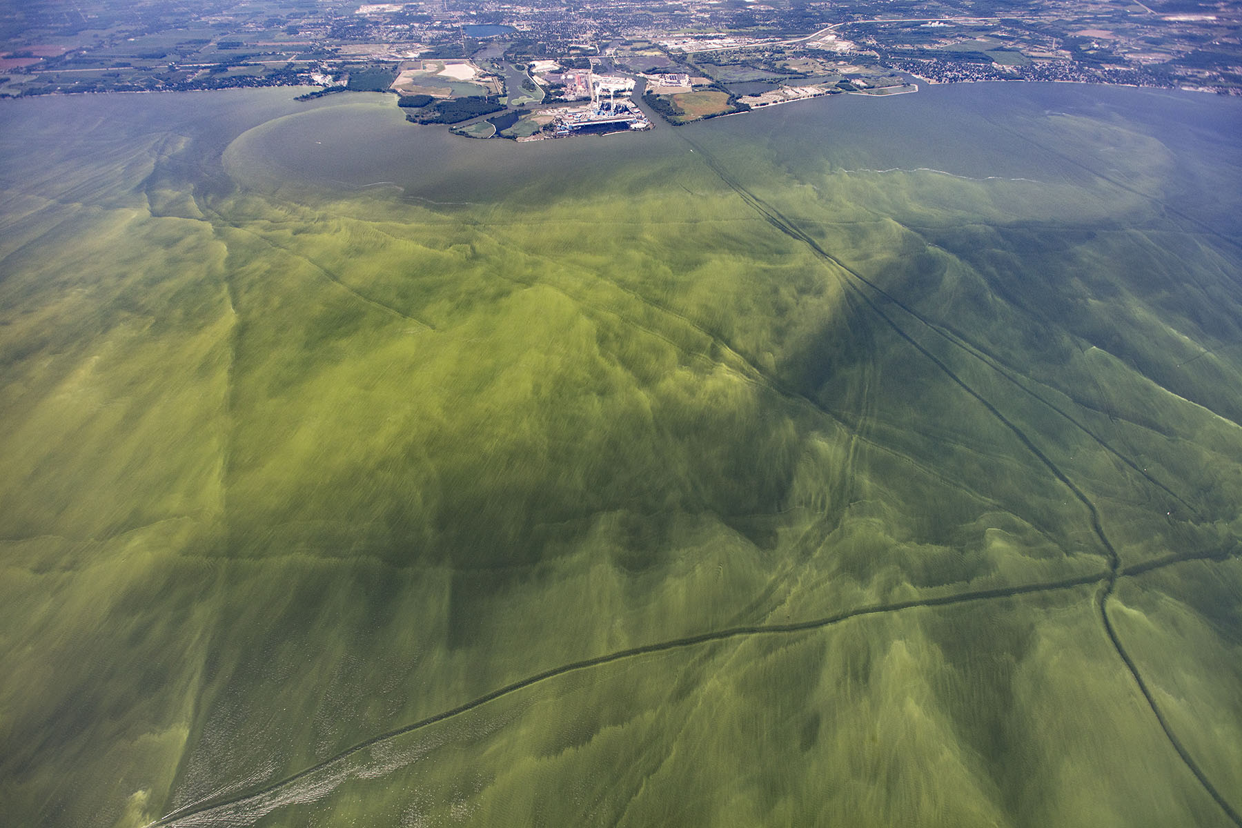Aerial view of cyanobacterial bloom (NOAA, T. Davis)