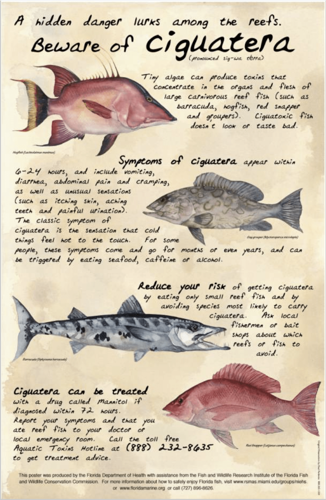 Informational poster from Florida’s Department of Health about ciguatera fish poisoning.