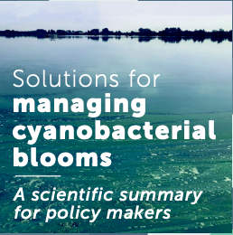 International Publications And Reports – Harmful Algal Blooms