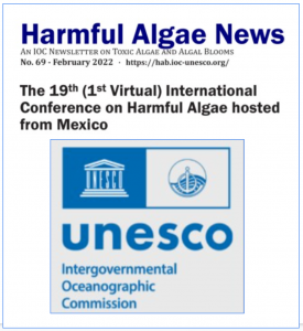 Screen Shot 2022-02-22 at 11.02.01 AM