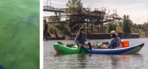 Left: cyanobacteria bloom in the water Right: paddlers in kayaks sample water